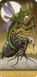 boi-bai-tarot