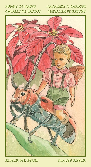 59-the-Spirit-of-Flowers-Tarot-04.jpg