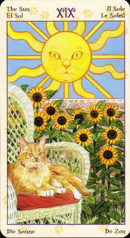 the-sun_1437175579.jpg