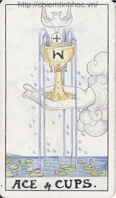 Học bói bài Tarot: Bốn Lá Ace Trong Tarot