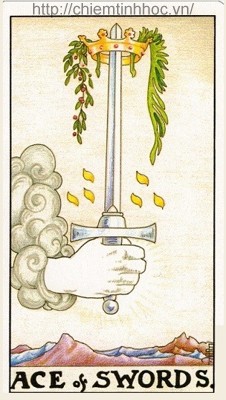 Học bói bài Tarot: Bốn Lá Ace Trong Tarot