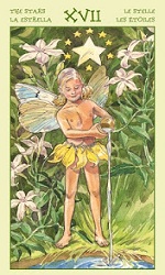 boi bai tarot tinh yeu ban trong doi them dieu gi o tinh yeu