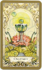 xem boi bai tarot tinh yeu khi ban bi lua doi