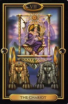 boi bai tarot xem tien tai cua ban trong thang 9
