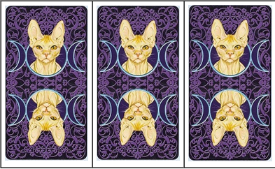 boi-bai-tarot