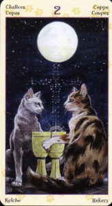 boi-bai-tarot